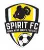 北部精神女足